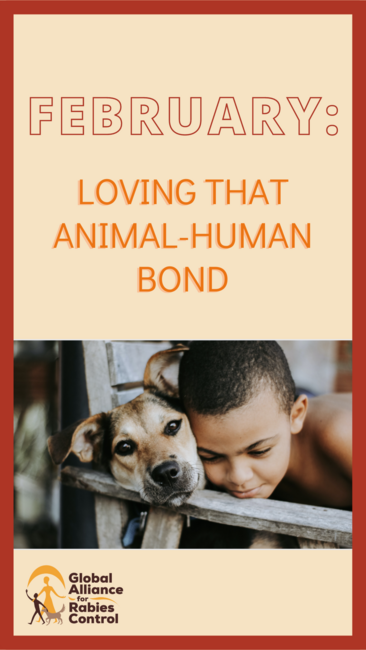 February theme: Loving that Human-Animal bond!