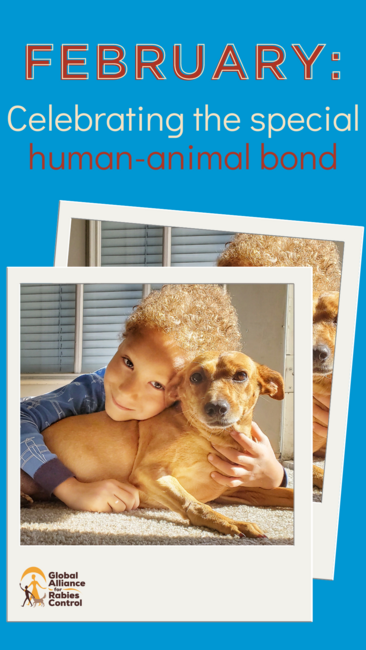 GARC Monthly theme - February: Human-animal bond