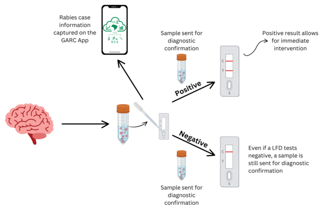 RAIDER process diagram, GARC