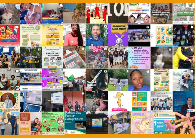 WRD 2023 social media event collage