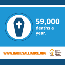 59000 people die every year from rabies. GARC, fact. 