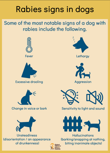 rabies signs in dogs infographic, GARC