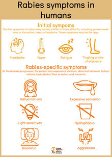GARC infographic depicting the symptoms of rabies in humans.