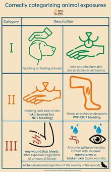 Quick reference guide to the WHO wound categories for rabies, by GARC.