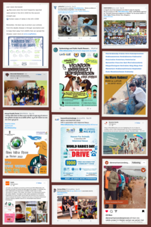 World Rabies Day 2022 event collage
