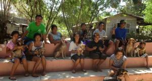 Mass Vaccination Ilocos Norte