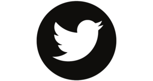 Twitter logo vector