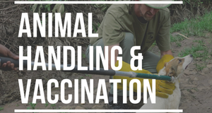 Animal Handling and Vaccination Certificate (AVC)