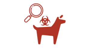 Surveillance tools for rabies elimination icon. GARC