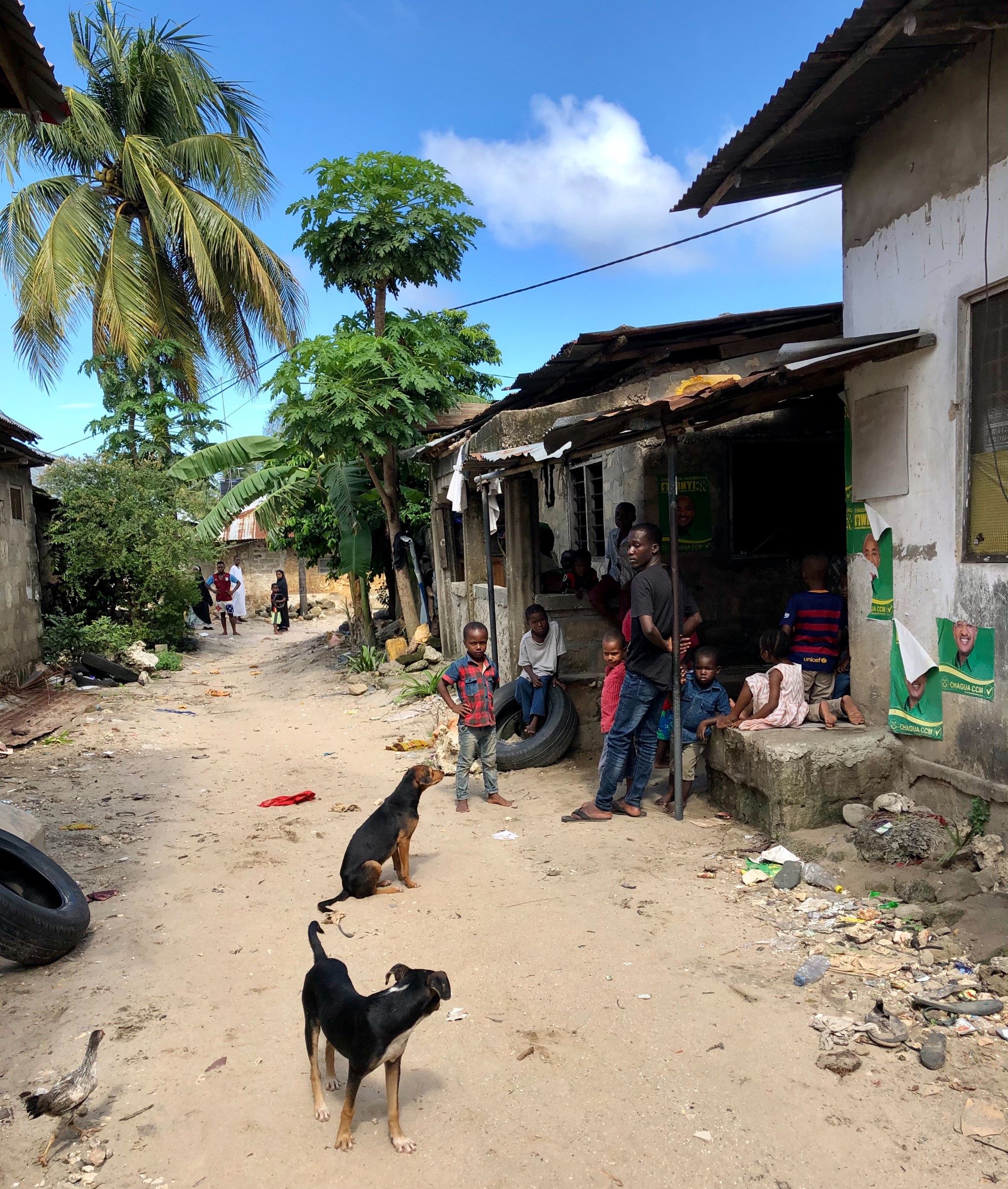 Street dogs watch a family in their house. Zanzibar.