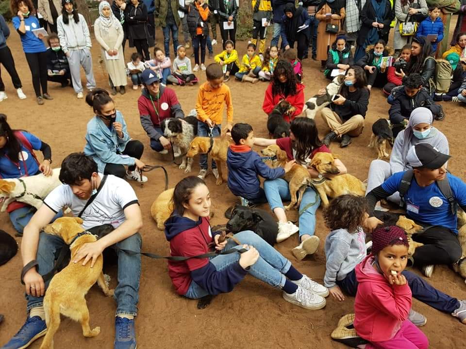 A huge gathering of people and dogs ready to participate in the Eco Dog Walk in Algeria. 