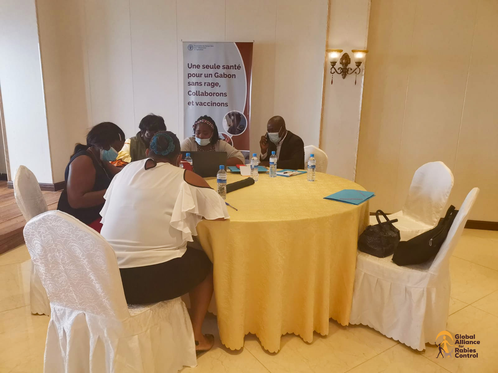 Round table group discussions were held during the SARE workshop in Gabon for rabies elimination planning, with GARC and FAO. 