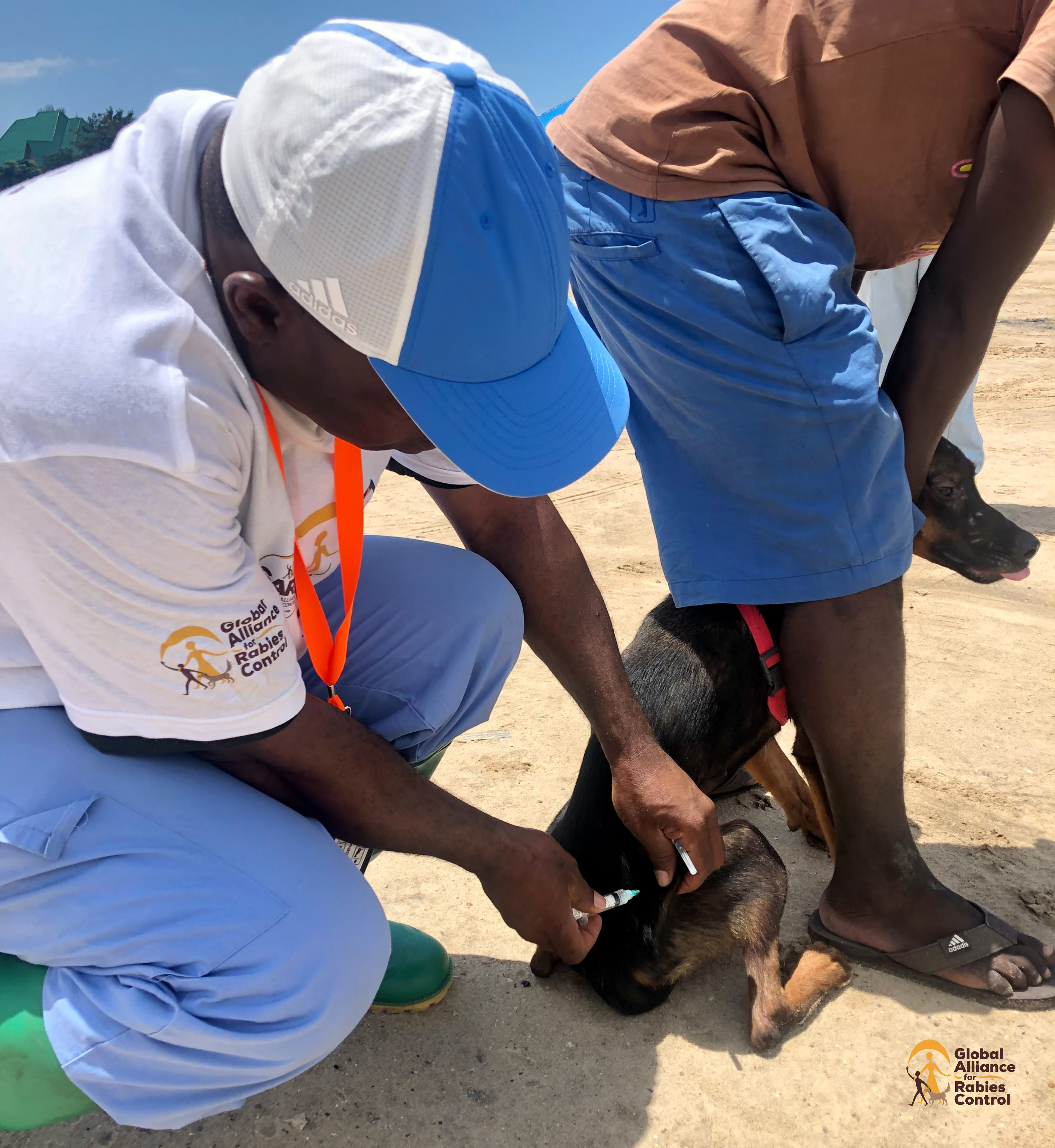 GARC supports Zanzibar government teams to vaccinate dogs against rabies.