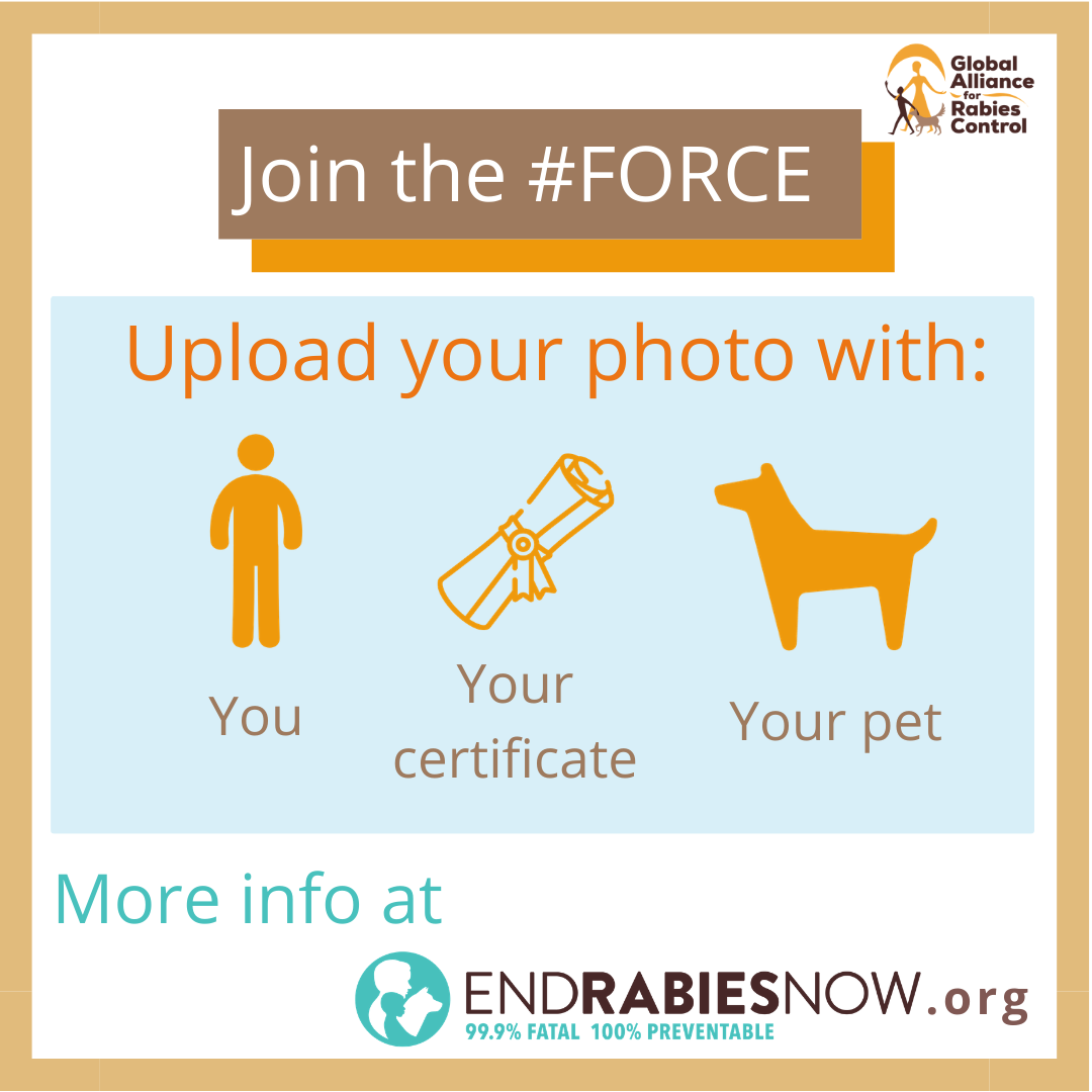 Join the Faces of Rabies Control and Elimination (FORCE) campaign. Upload a selfie with your REC certificate and your pet. 