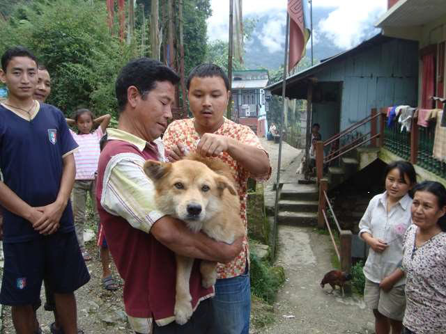 Dr. Thinlay Bhutia (front left) restrains dog during a vaccination campaign.