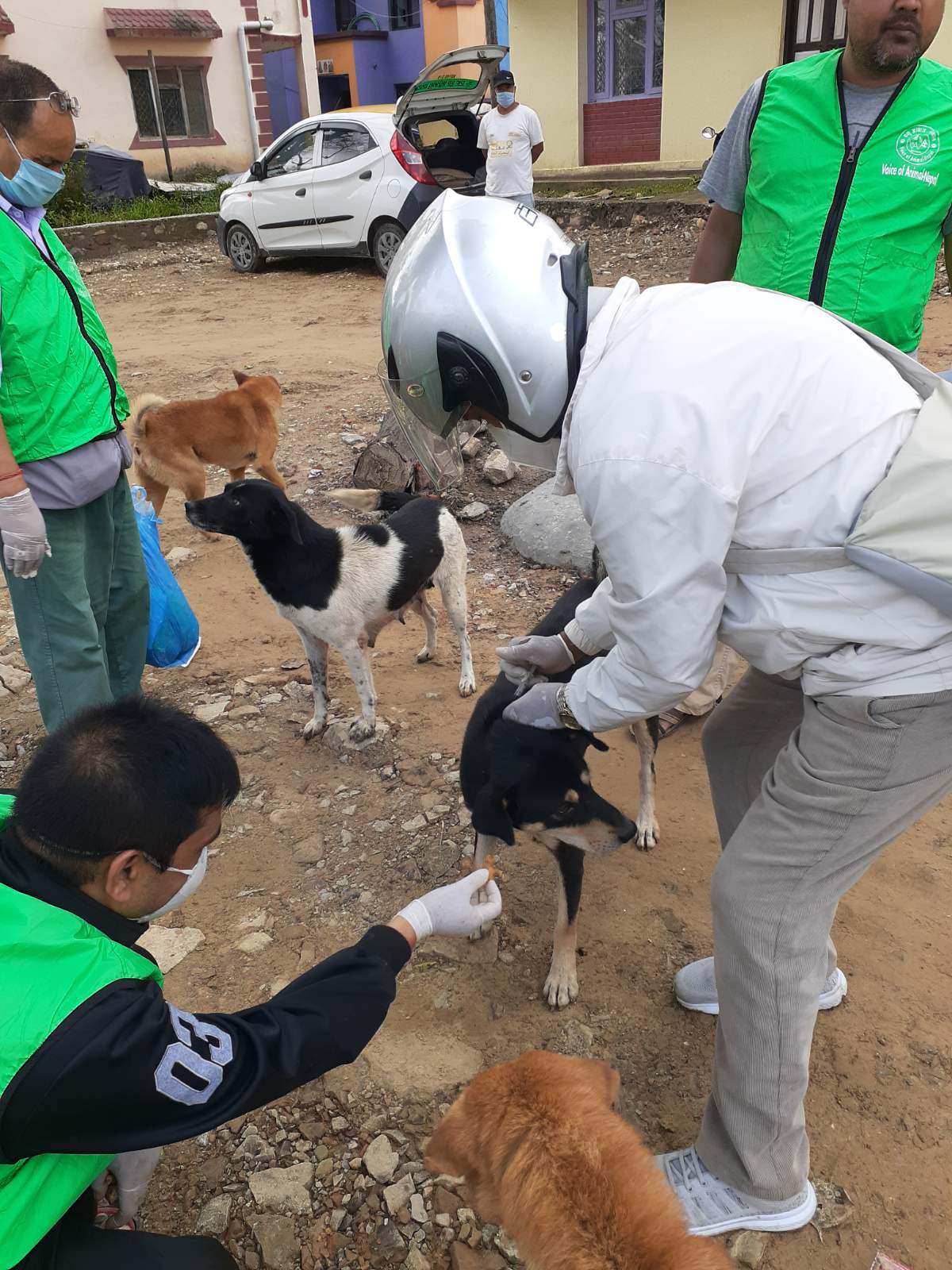 Voice of Animal Nepal team vaccinates dogs during the GARC World Rabies Day 2020 celebrations.